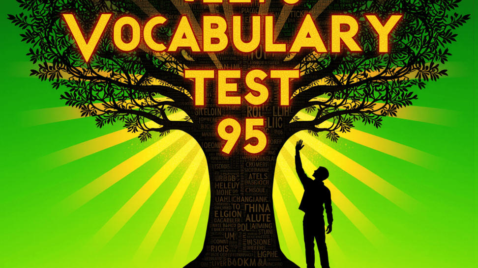 IELTS vocabulary test 95