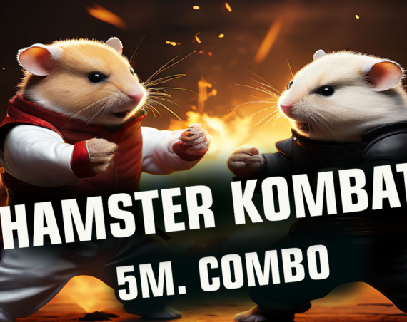 Hamster Kombat 5m combo