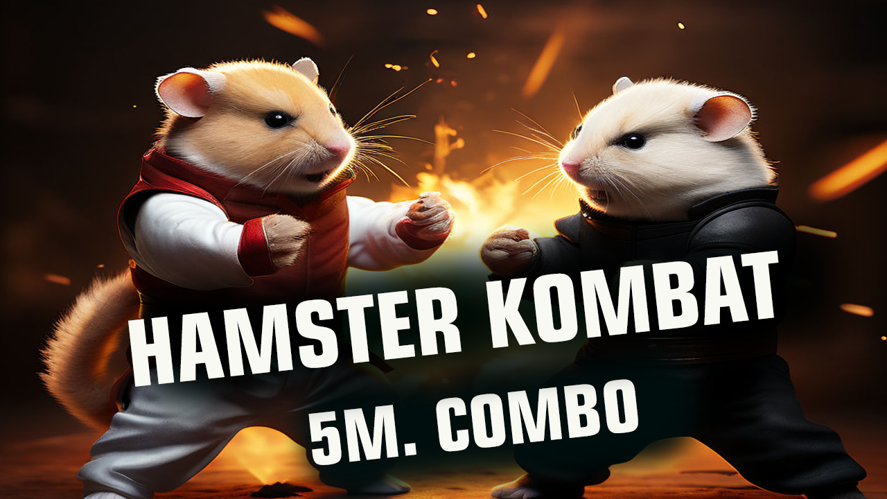 Hamster Kombat 5m combo